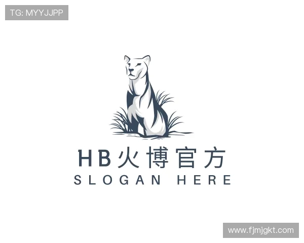 关于HB火博公司